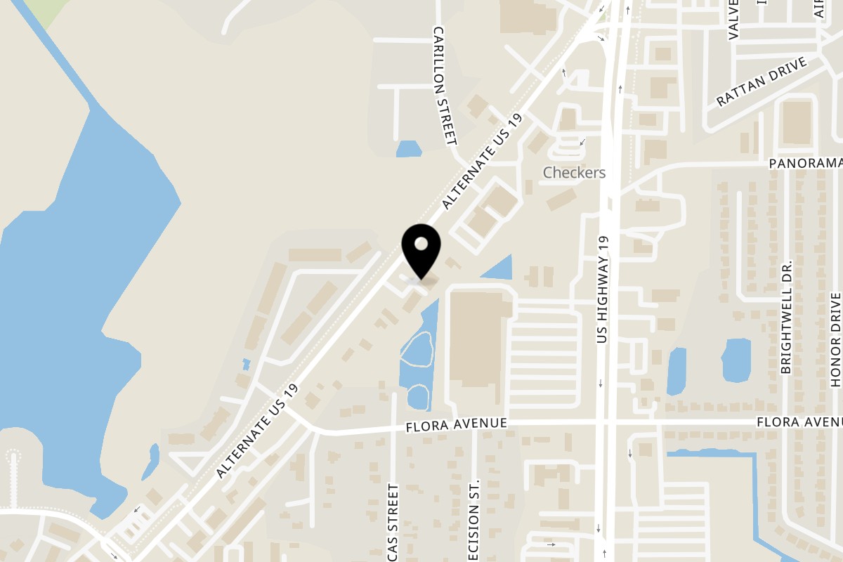 Map showing the location of Baby Hughy's Restaurant Holiday on 1402 US-19 ALT in Holiday